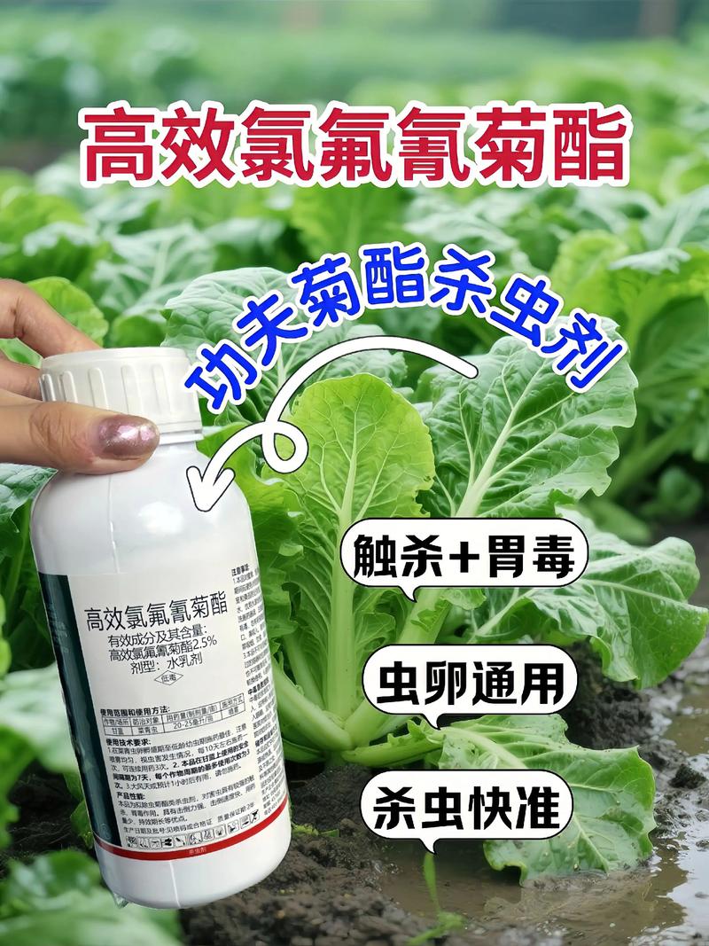 株洲代生中心:农药对供卵代生妈妈的危害